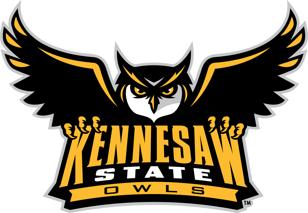 Kennesaw State Owls 2012-Pres Primary Logo iron on transfers for T-shirts